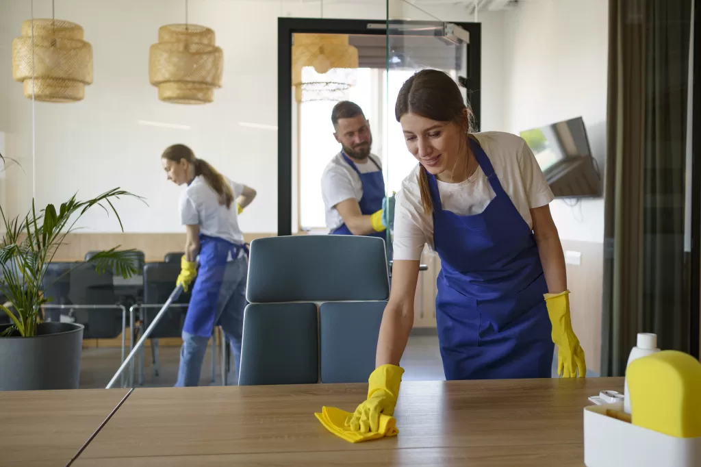 Cleaning Services in Almada