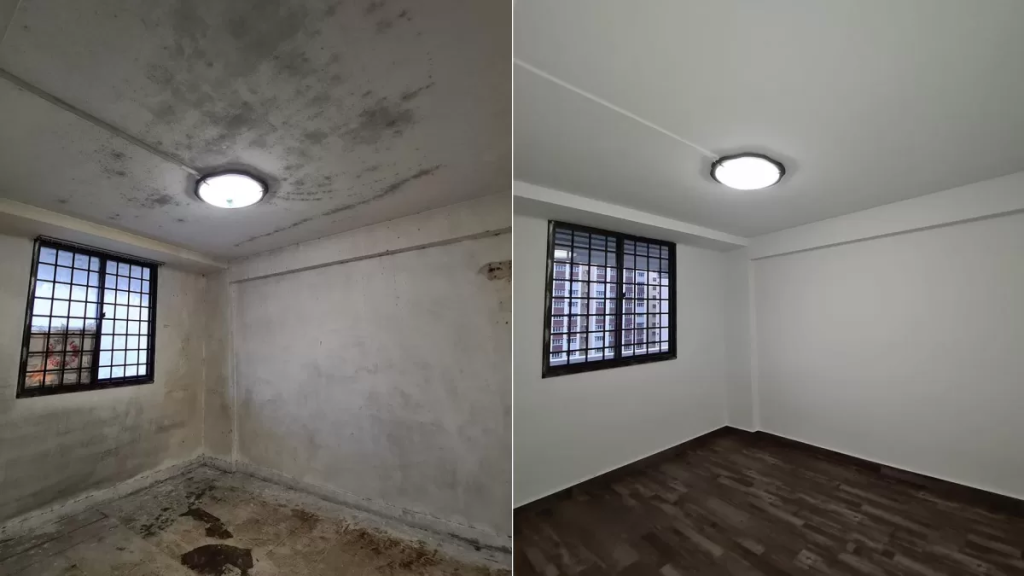 Professional Mold Removal Services in Lisbon